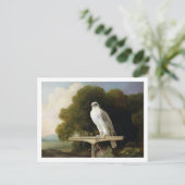 Groenlandse valk (grijze valk), 1780 (olie op het  briefkaart (Staand voorkant)