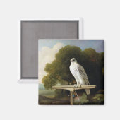 Groenlandse valk (grijze valk), 1780 (olie op het  magneet (Voorkant / Achterkant)