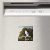 Groenlandse valk (grijze valk), 1780 (olie op het  magneet (Insitu (Vaatwasser))