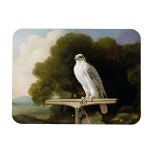 Groenlandse valk (grijze valk), 1780 (olie op het magneet