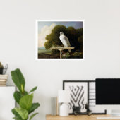 Groenlandse valk (grijze valk), 1780 (olie op het  poster (Thuiskantoor)