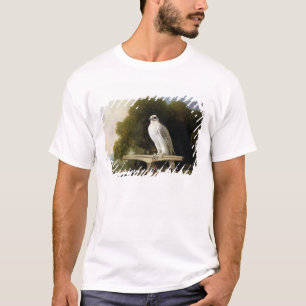 Groenlandse valk (grijze valk), 1780 (olie op het  t-shirt