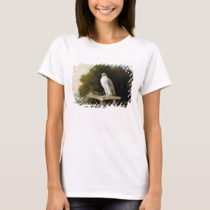Groenlandse valk (grijze valk), 1780 (olie op het  t-shirt