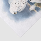 Groenlandse valk, ontkoppeling tissuepapier (Detail)