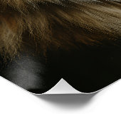 Groenogige Fluffy Lapjeskat Perfect Poster (Hoek)