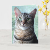 Groenogige Lapjeskat Lege Kaart (Gele Bloem)