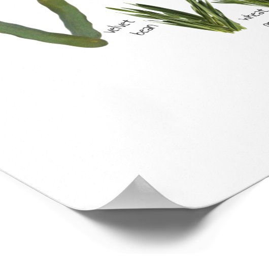 Groente Alfabet voor de moestuin peuterklas - Voed Poster (Hoek)