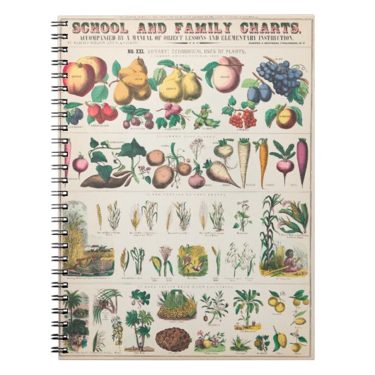 Groente botanische poster notitieboek (Voorkant)