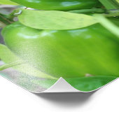 Groente Tuin Groene Paprika's 10x8 Foto Afdruk (Hoek)