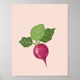Groentemuurschildering - Radijsillustratie Poster