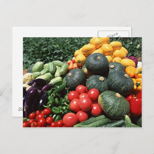 Groenten 2 briefkaart (Voorkant / Achterkant)