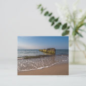 Groenten aan de kust van het Oostzeegebied Briefkaart (Staand voorkant)