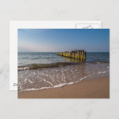 Groenten aan de kust van het Oostzeegebied Briefkaart (Voorkant / Achterkant)