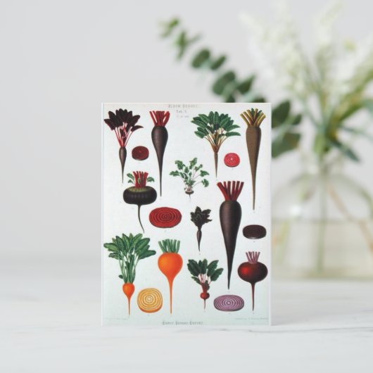 Groenten - Algemeen Briefkaart (Staand voorkant)