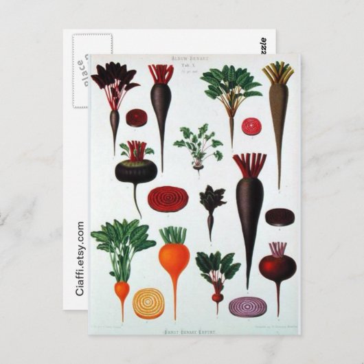 Groenten - Algemeen Briefkaart (Voorkant / Achterkant)