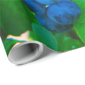 groenten cadeaupapier (Rol Hoek)