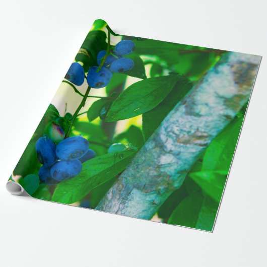 groenten cadeaupapier (Uitgerold)