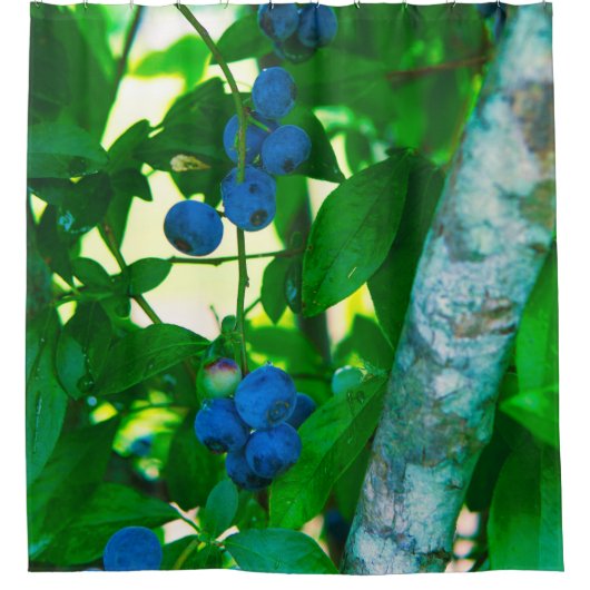  groenten douchegordijn (Voorkant)