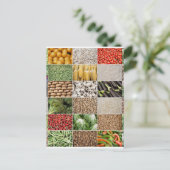 Groenten en fruit briefkaart (Staand voorkant)