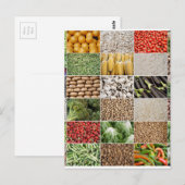 Groenten en fruit briefkaart (Voorkant / Achterkant)