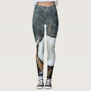 groenten en fruit leggings