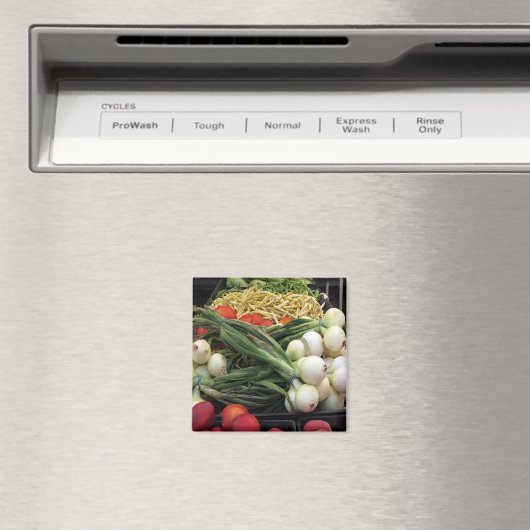 Groenten en fruit magneet (Insitu (Vaatwasser))