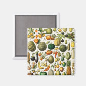Groenten en fruit magneet (Voorkant / Achterkant)