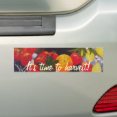groenten en fruit Medley Bumpersticker (Op auto)