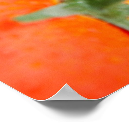 Groenten en fruit poster (Hoek)