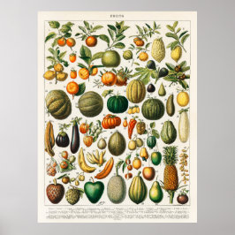Groenten en fruit poster