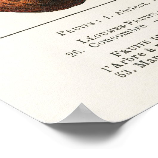 Groenten en fruit poster (Hoek)