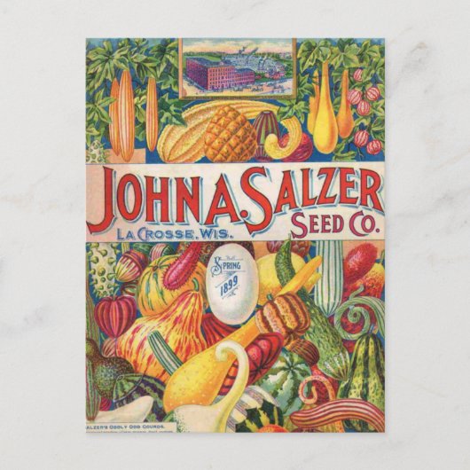 groenten en fruit, van de soort "Salzer Seed Cata Briefkaart (Voorkant)