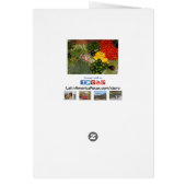 Groenten en groenten, vers rijpe gewas, geoogste n (Achterkant)