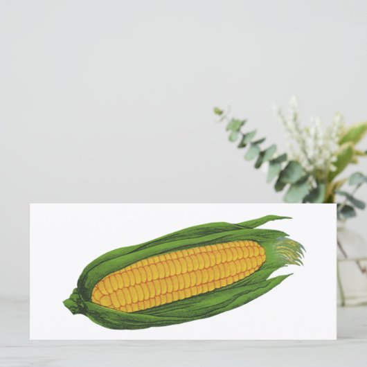  groenten; geelhoorn op de krab (Staand voorkant)