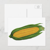  groenten; geelhoorn op de krab briefkaart (Voorkant / Achterkant)