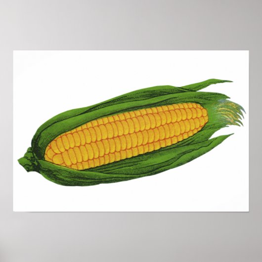  groenten; geelhoorn op de krab poster (Voorkant)