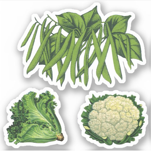  groenten, groene bonen, sla bloemkool sticker (Voorkant)