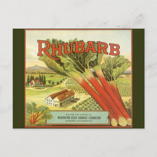  groenten kunnen kunst, Boerderij van Rhubarb, eti Briefkaart (Voorkant)