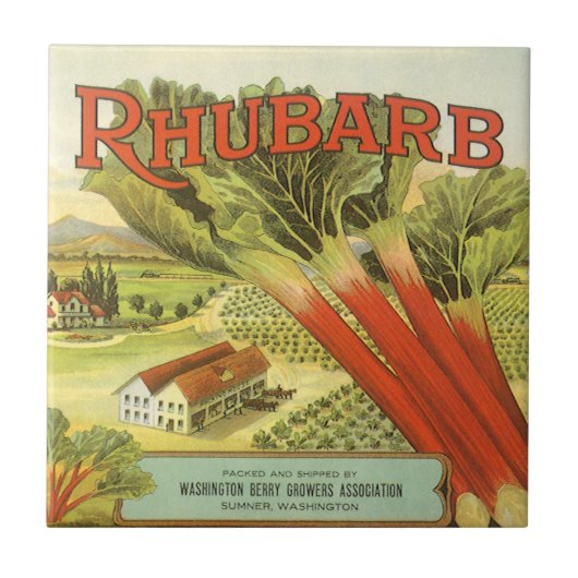  groenten kunnen kunst, Boerderij van Rhubarb, eti Tegeltje (Voorkant)