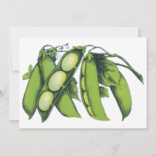 groenten; limabonen, biologisch Boerderij