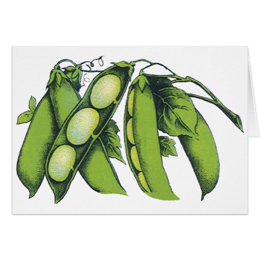  groenten; limabonen, biologisch Boerderij (Voorkant Horizontaal)