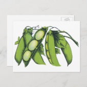  groenten; limabonen, biologisch Boerderij Briefkaart (Voorkant / Achterkant)