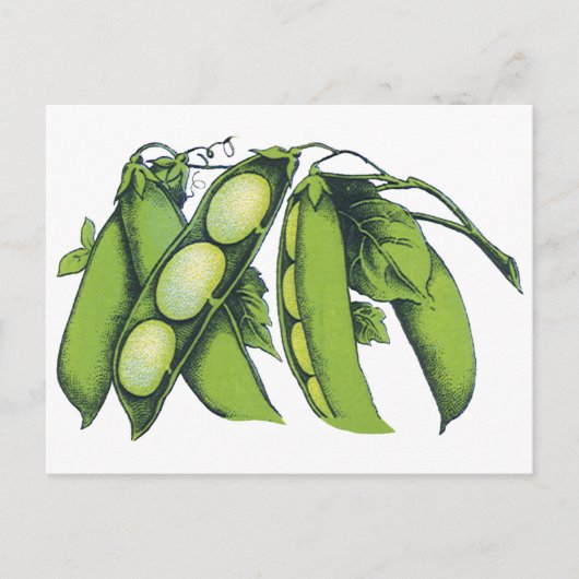  groenten; limabonen, biologisch Boerderij Briefkaart (Voorkant)