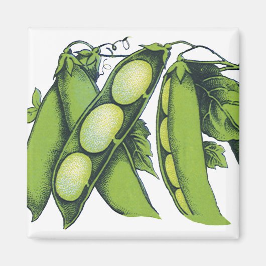  groenten; limabonen, biologisch Boerderij Magneet (Voorkant)