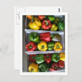 Groenten op de Amish-markt Briefkaart (Voorkant / Achterkant)