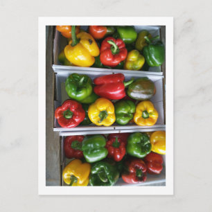 Groenten op de Amish-markt Briefkaart