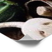 GROENTEN POSTER (Hoek)