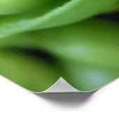 GROENTEN POSTER (Hoek)