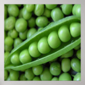 GROENTEN POSTER (Voorkant)