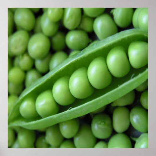 GROENTEN POSTER (Voorkant)